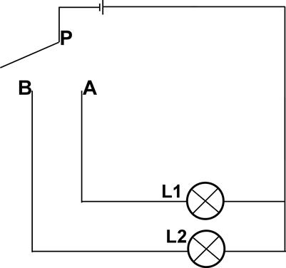 “Single-pole dual-control” competing mode in plants